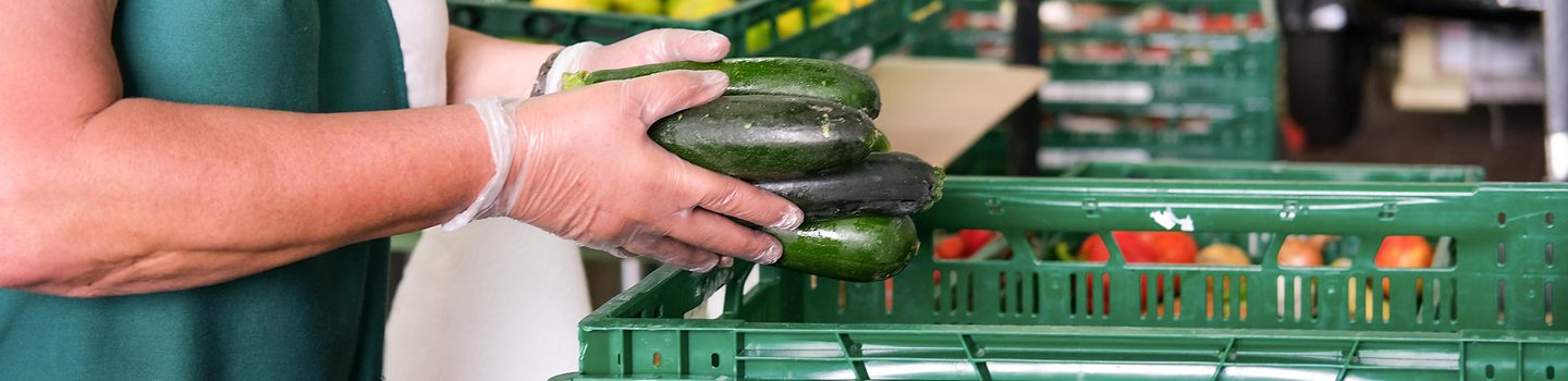 Person mit Schürze steht vor grüner Kiste und hat mehrere Zucchini in den Händen. Sie trägt Einmalhandschuhe.