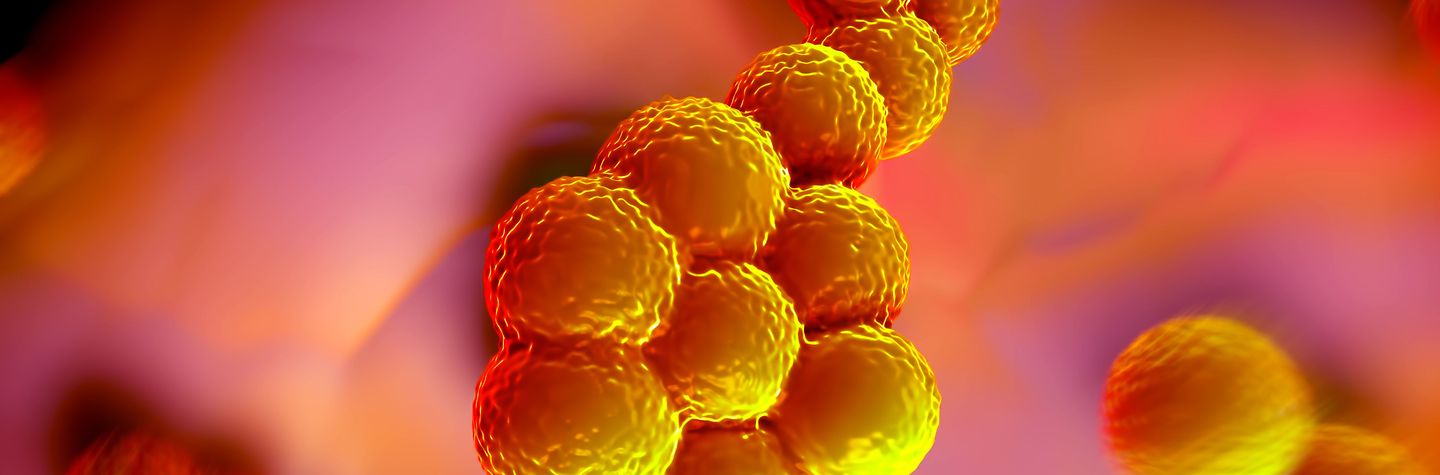 Infektionsschutz ist eine wichtige Aufgabe des betrieblichen Arbeits- und Gesundheitsschutzes Abbildung eines Staphylococcus aureus Bakteriums (MRSA)